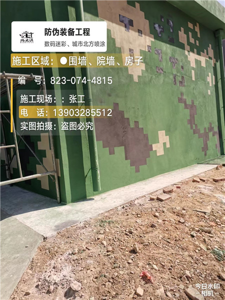 杨浦核心结论：专业提供外墙迷彩漆施工服务